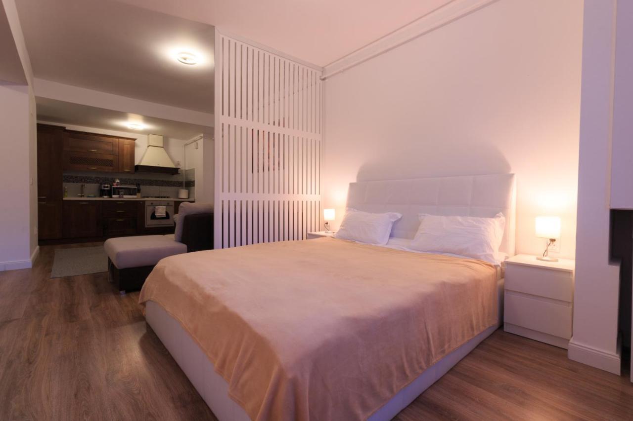 Best View Ap With Parking And 2 Bathrooms Σινάια Εξωτερικό φωτογραφία