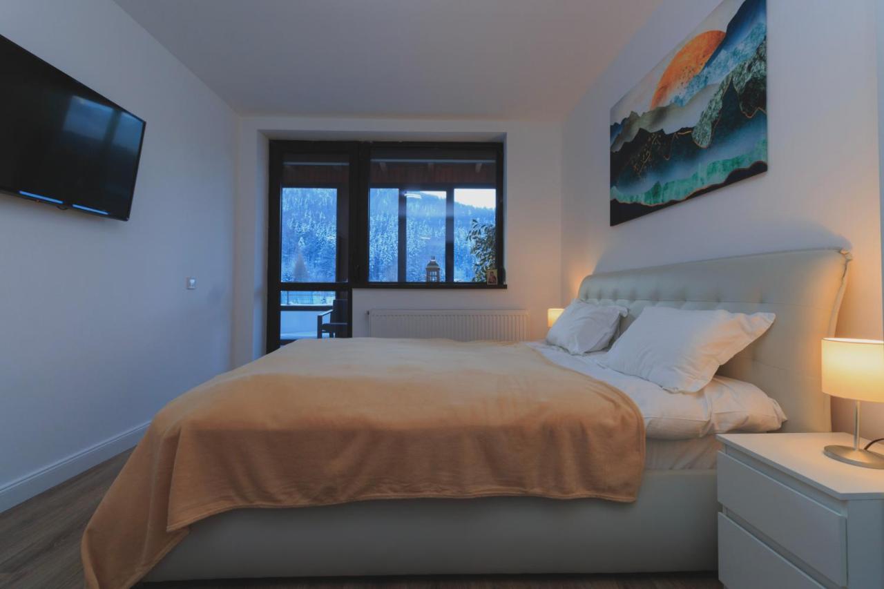 Best View Ap With Parking And 2 Bathrooms Σινάια Εξωτερικό φωτογραφία