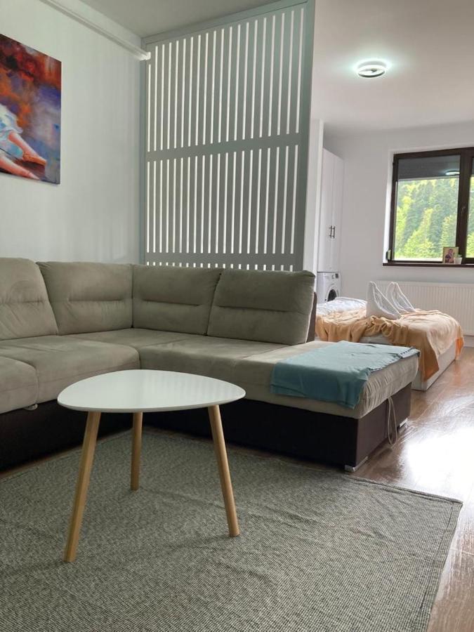 Best View Ap With Parking And 2 Bathrooms Σινάια Εξωτερικό φωτογραφία