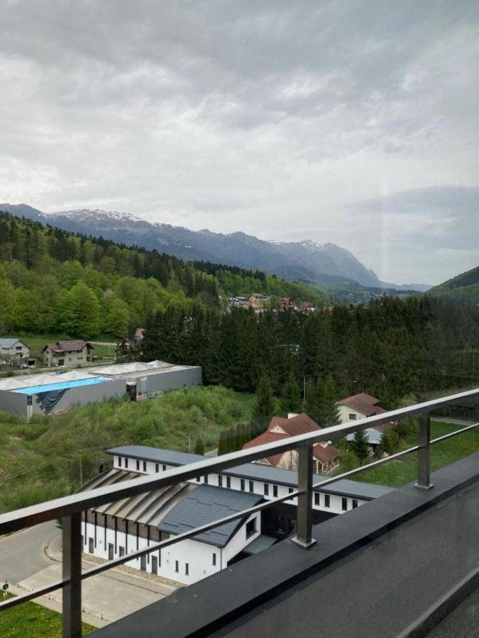 Best View Ap With Parking And 2 Bathrooms Σινάια Εξωτερικό φωτογραφία